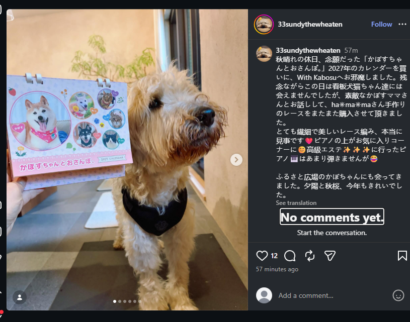 ddddddddddd8a's tweet photo. A non viral dog that wants to be as viral as KABOSU but not the same breed  

Kabosu reposted  

Good lore this is hella genny https://t.co/aLPKOtrDq2