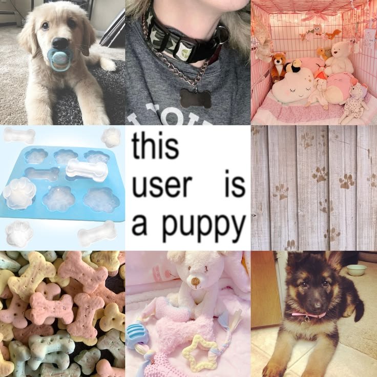 needypupim's tweet photo. I love being barking woof woof :33 https://t.co/bJXD8wuIbI