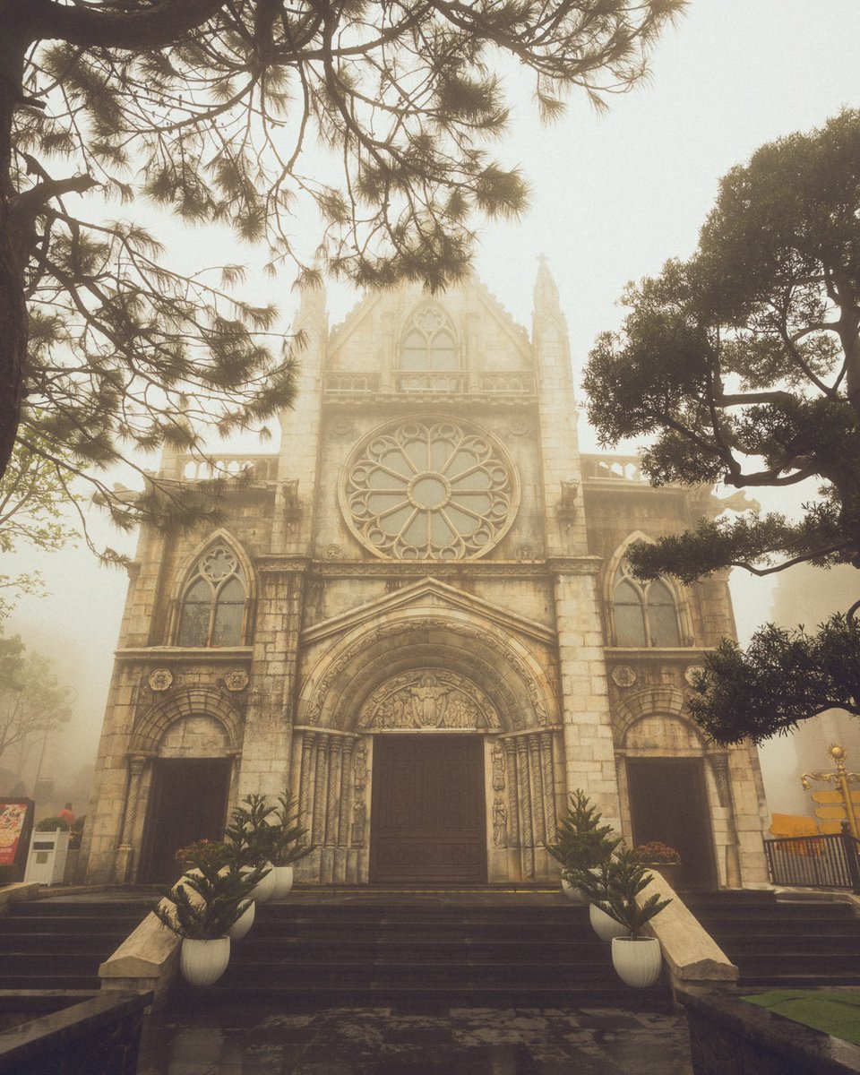 LoreleKMKemprpl's tweet photo. Schönheiten im Nebel, Vietnam, 2025. Heute gehörte alles dem Nebel. Wir durften trotzdem dabei sein. https://t.co/KHTO2cPHcy
