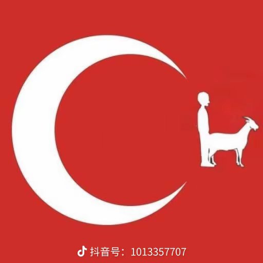 nicklepy's tweet photo. @dardelik06 @fin93501 @divayimbitanesi https://t.co/iw9FhMZZg6
