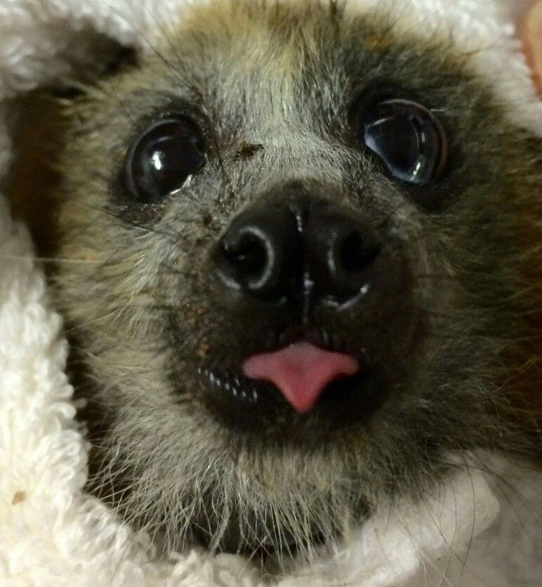 battwting's tweet photo. mlep :p https://t.co/kPzYy8U3i1