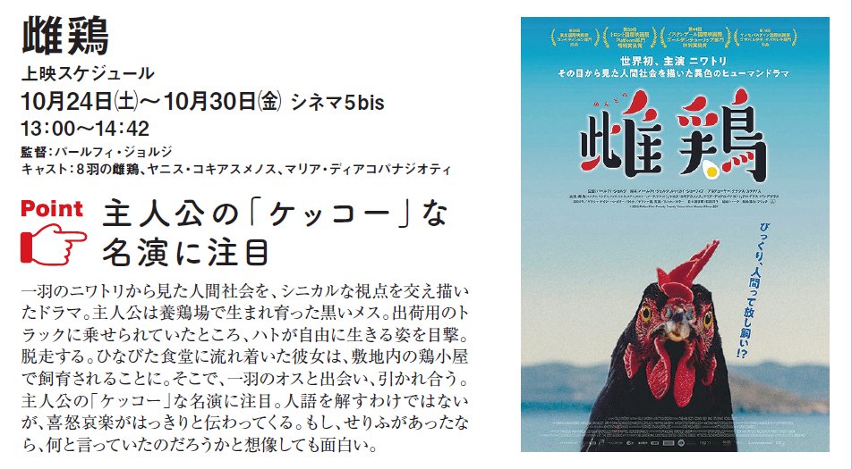 godo_moviehour's tweet photo. 明日から @シネマ５bisで上映
『 #雌鶏（@mendori_movie）』

10月24日（土）-30日（金）@#シネマ５bis 13:00～

主人公の鶏の「ケッコー」な名演に注目。
もし、セリフがあったなら、何と言っていたのだろうか…と想像しても面白い作品です。

ぜひ劇場でご覧ください。

#大分合同新聞ムービーアワー https://t.co/YrK2A7xtw0