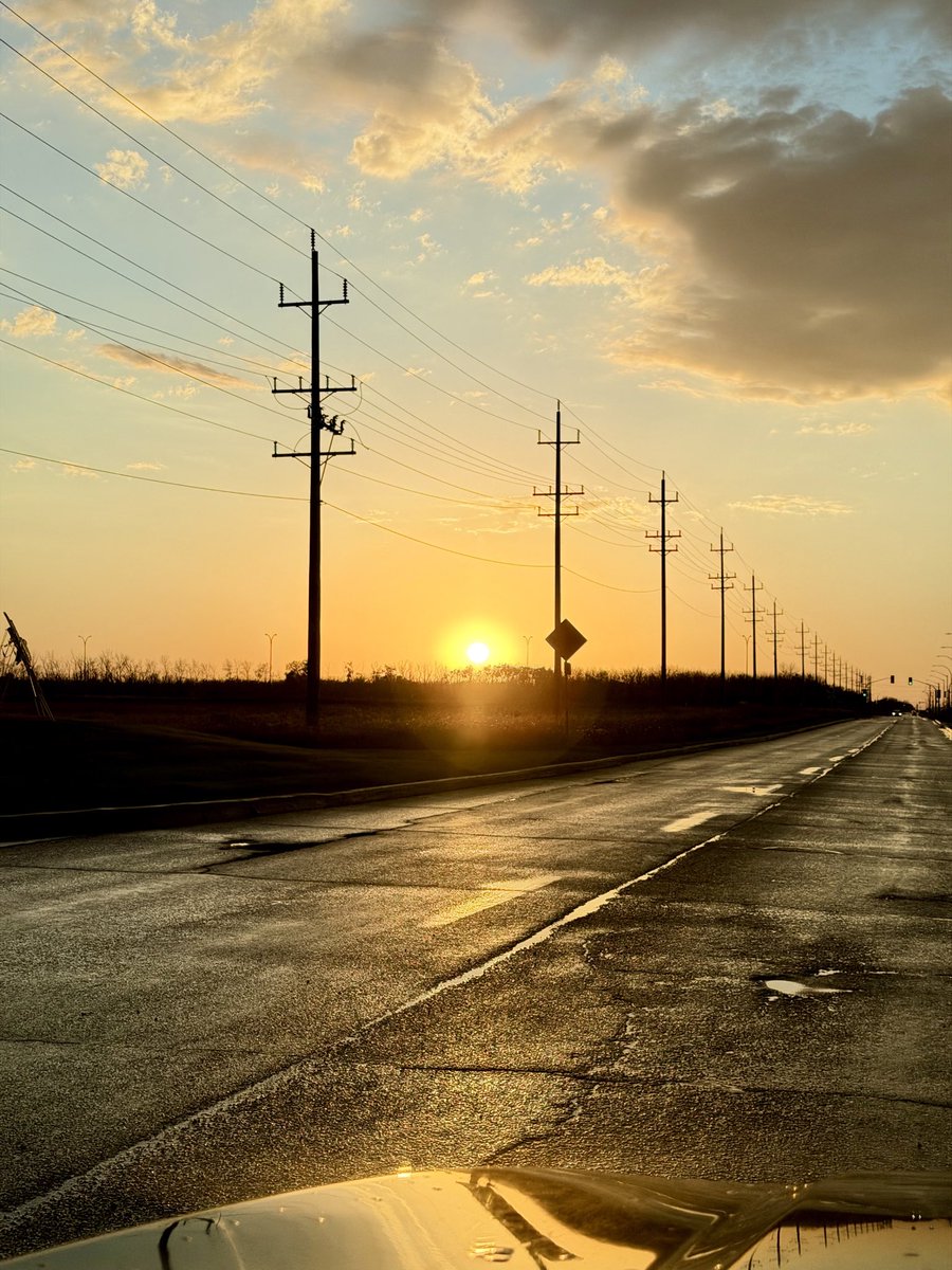SelfInFocus's tweet photo. Golden hour said follow me, so I did https://t.co/Dz1qSiSPBK