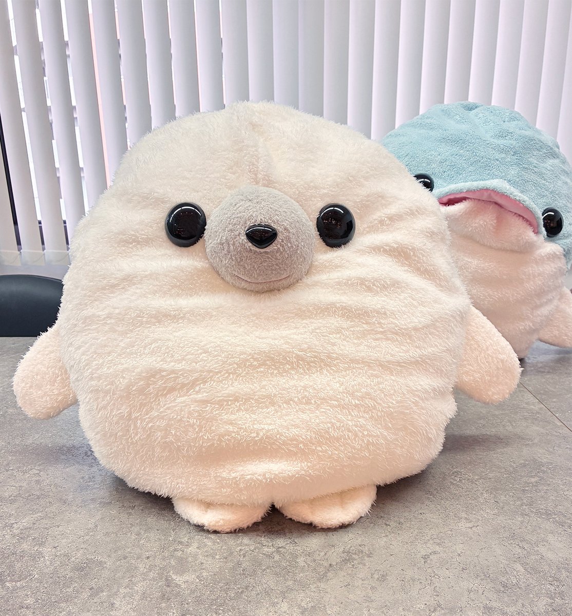 tst_advance's tweet photo. 近日発売の商品のお知らせ🦭

mini beans アザラシが大きくなりました👏
その名も「mini beans アザラシびっく」！
思い切り抱きつけます🤗

販売時期はXで告知予定です。
お楽しみに🦭 https://t.co/vfRdDE6TAM