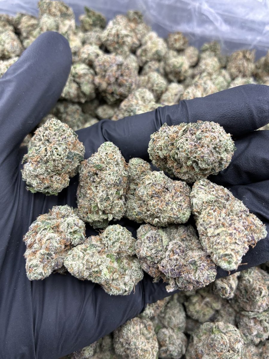 strainsha's tweet photo. Active and serving Spain weed plug in Madrid weed Barcelona weed Seville weed Valencia weed Málaga weed Granada
Weed Palma de Mallorca weed Alicante weed Córdoba
Weed SanSebastián weed Zaragoza weed Toledoweed Santiago de Compostela weed Salamanca #CalvinKleinxAuAu #OlympiacosBC https://t.co/0DjKOU7rjG