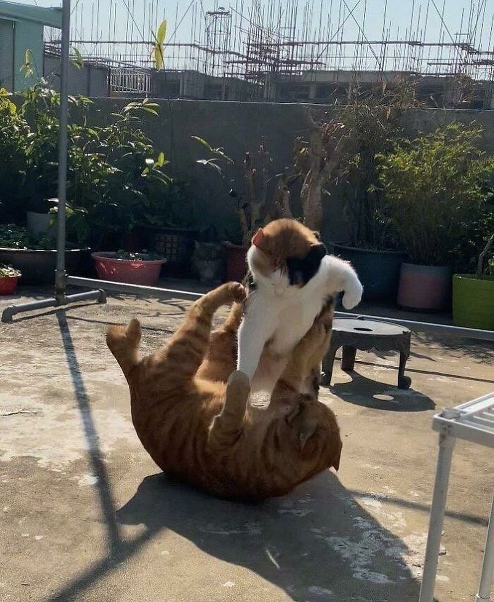 weirdnlovely's tweet photo. 가만히 놔뒀더니 레전드 현피 발생 https://t.co/wXzzj7DU4c