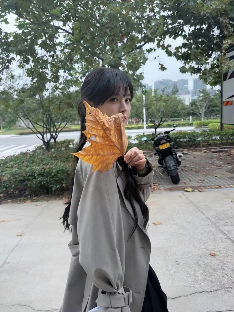 vvianweii's tweet photo. good mowning 🍂 https://t.co/aZIJS89aDe