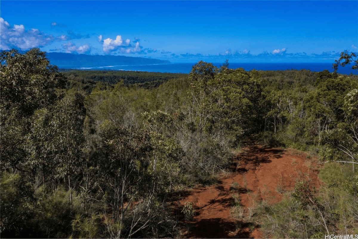 HawaiiLife's tweet photo. Just listed by Julia Napua Fetzer, R(B) and Kyle Bernhardt, R(S) is 59 Maulukua Road, in Haleiwa, Oahu, for $4,295,000.

https://t.co/u9eSPFMcXB

15+ acre undeveloped bluff and ridge property in Pupukea.

Tap the link for more details.

#HawaiiLife #Oahu https://t.co/YLzcmtSWAX