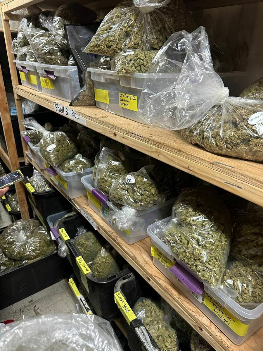 harshpiza's tweet photo. TOP SHELF INDOOR EXOTIC CANDY 🍭WEED REAL ZAZA Cali kush gas
ZA in Los Angeles smoke Weed in Barcelona Madrid Weed in THC Liquid in Riyadh Saudi Arabia Amman weed in Newark New Jersey Pakistan weed in Cincinnati zaza Jordan KSA Weed NYC
⛽️🔥💯 #GMMTVLiveHouse #TMKatEFW26ICONSIAM https://t.co/jSUXqTY6fA