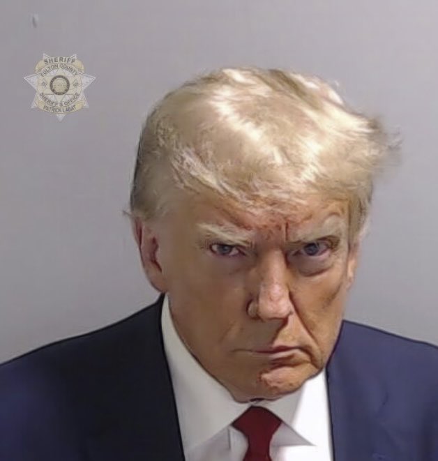 commons96055467's tweet photo. The constitution should be amended to say a convicted felon can not be allowed to run for president of the United States, and immediately be disqualified. Common sense has to prevail. No, not me. https://t.co/cuZsTtdMmd