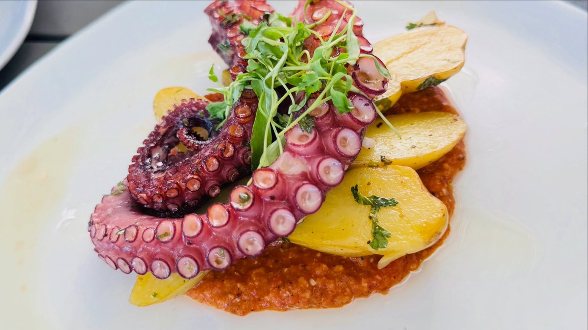 E_Xtrahh's tweet photo. Rooftop lunch, ocean views, and La Jolla sunshine. Good food tastes even better with a view like this. https://t.co/X6LETF294z