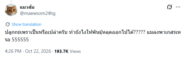 webdevxp's tweet photo. เผื่อใครไม่ทัน เพราะระเบิดแอคไปแร้ว https://t.co/jjB7yVGWPj