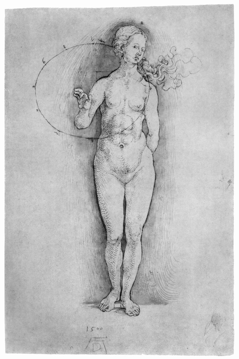artistdurer's tweet photo. Female Nude #artbots #dürer https://t.co/Xp00goI4UO