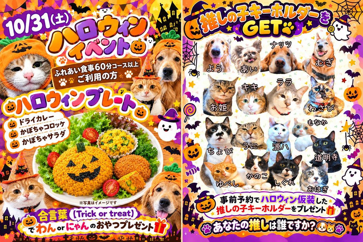 kedama_wacafe's tweet photo. いよいよ来週はハロウィンイベント🎃
まだまだ空きがありますのでぜひご予約ください！
当日限定のハロウィン仮装をした推しの子キーホルダーもGETできます✨️
ご予約はお早めにお願いします🙏

☎04-7173-5888 https://t.co/dndxysyzMv
