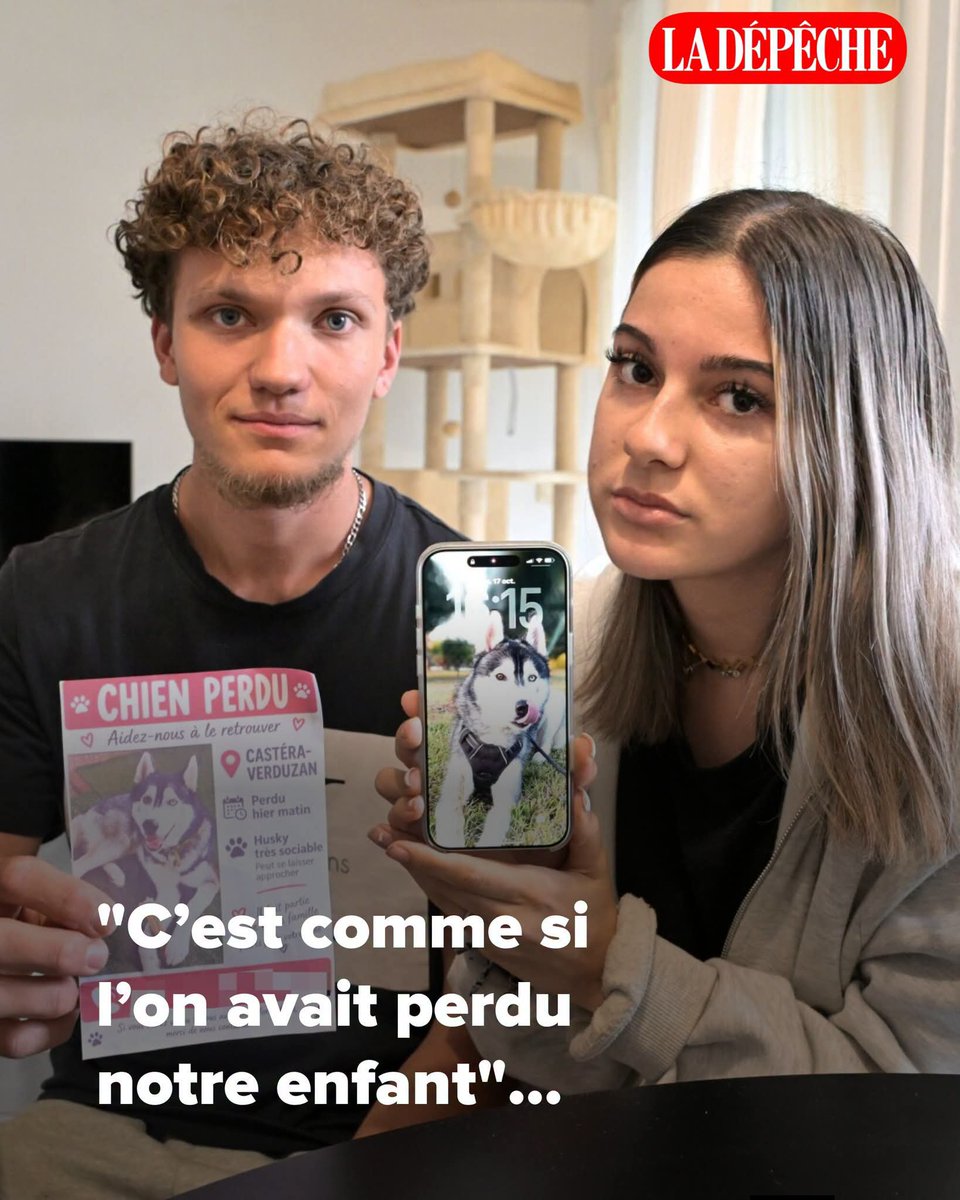 AdeaClaude's tweet photo. "C’est comme si l’on avait perdu notre enfant" : depuis plus d’un mois, ce couple du Gers recherche désespérément son husky disparu sans laisser de trace
➡️ https://t.co/SvXwkuXf2Y https://t.co/puKxbMORK5