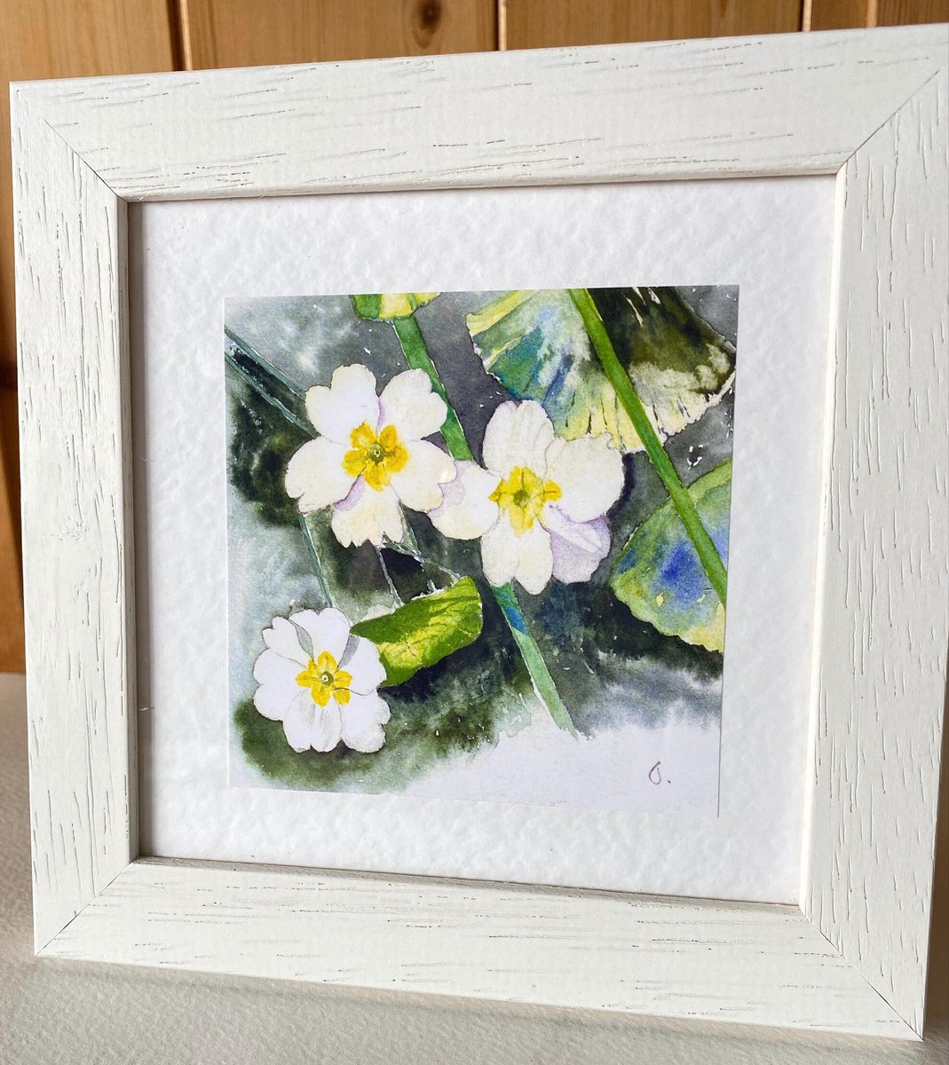 MormorJan's tweet photo. Such a fresh hint of Spring. #earlybiz 

Primroses, a framed original watercolour print. A gift with a difference 

https://t.co/y4XMci6vsM
#MHHSBD #SMILEtt23 #etsyuk #giftideas #Christmas2026 https://t.co/NUdJOpRDnk