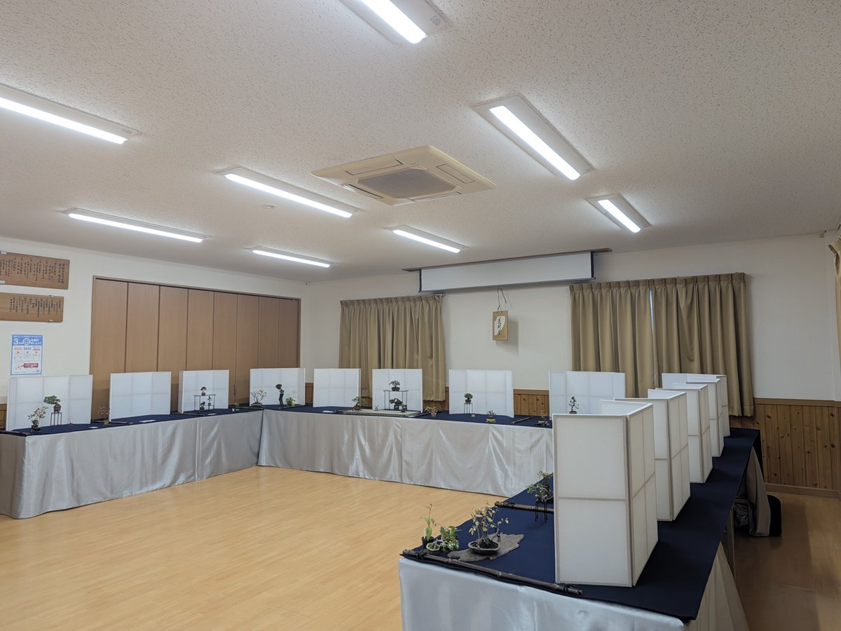 poncho_bonsai's tweet photo. 設営ほぼ完了。
花樹会@中新井自治会館になります！

残念ながら週末は天気が悪そうですが、どうぞ足元にお気をつけてお越しくださいー！ https://t.co/3c4xgZ2SFL