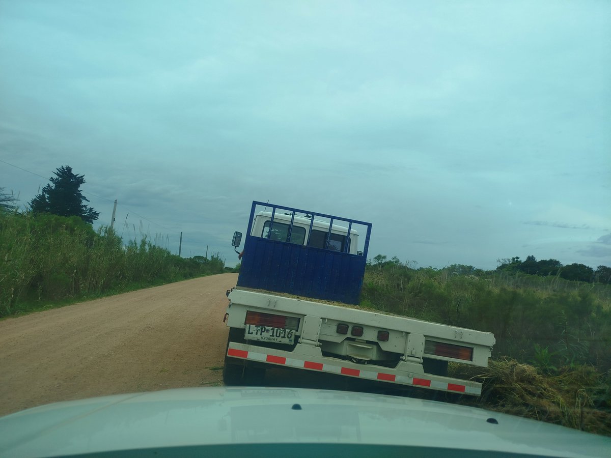 Ferveracouselo's tweet photo. Un "buen vecino" colaborando en la creación de un basural en el Cno. Elhordoy, Montevideo rural. @montevideoIM https://t.co/es5nYyE6sU