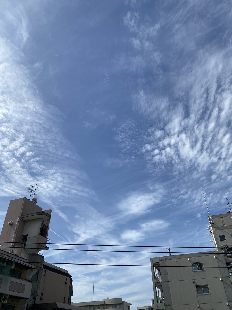 ankoemi's tweet photo. おはようございます☀️

午後から雨予報⋆̩☂︎*̣̩

今日は午後から出勤

リュウ君は
ほとんどをゲージで過ごしてて
よく我慢してくれてるよ。

コテツはパトロール完了✅

穏やかな金曜日に
なりますように･.｡*･.｡*

 #イマソラ  #ミニチュアダックス  #カニンヘンダックス  #わんこ https://t.co/F7IOSzJ8p4