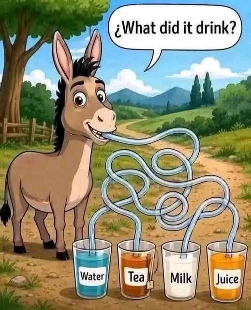 Braintest88's tweet photo. https://t.co/3v39BuCxyH