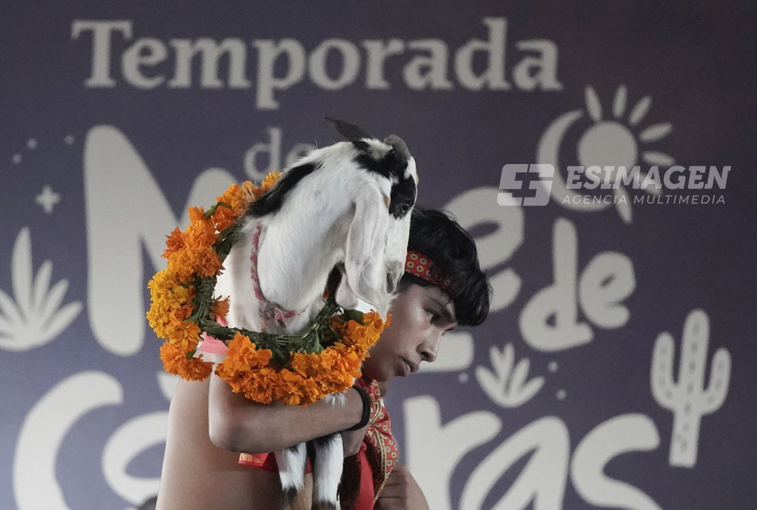 EsImagen's tweet photo. 📸✨Desde nuestra lente, capturamos los colores, los detalles y la esencia del inicio de la Temporada del #MoleDeCaderas en #Tehuacán, encabezado por el gobernador Alejandro Armenta (@armentapuebla_) 🍂🥣

👉  Vía: Óscar Rodríguez 

#DanzaDeLaMatanza #TradicionesPoblanas #GastronomíaPoblana #Fotoperiodismo #Puebla