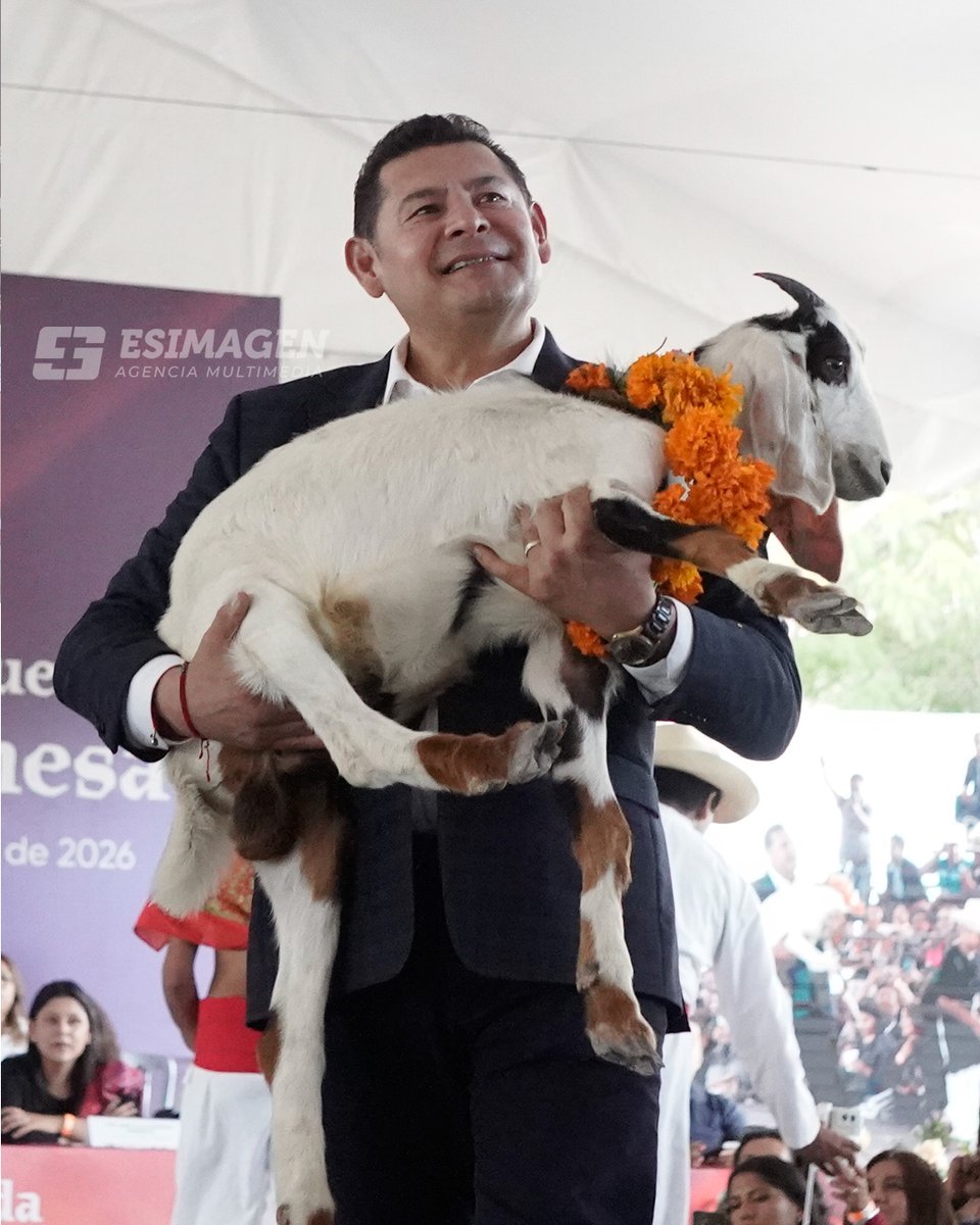 EsImagen's tweet photo. 📸✨Desde nuestra lente, capturamos los colores, los detalles y la esencia del inicio de la Temporada del #MoleDeCaderas en #Tehuacán, encabezado por el gobernador Alejandro Armenta (@armentapuebla_) 🍂🥣

👉  Vía: Óscar Rodríguez 

#DanzaDeLaMatanza #TradicionesPoblanas #GastronomíaPoblana #Fotoperiodismo #Puebla