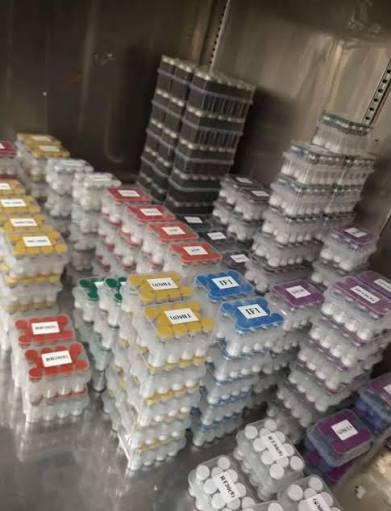 kelly3224k's tweet photo. Quality matters in every detail.

From product handling to documentation and batch consistency, attention to detail is essential in research supply.

Reliable science starts with responsible sourcing.

#Peptides #ResearchQuality #LabScience https://t.co/bbgmSVh4Ij