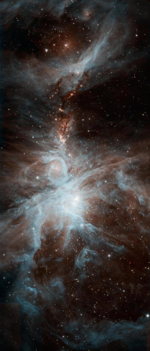 quantamastral tweet picture