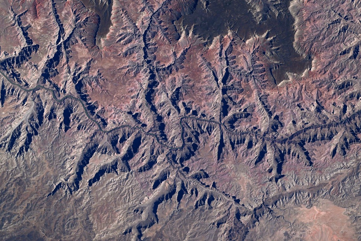 ilydarth's tweet photo. 100% agree with texas but saying the grand canyon is overrated is crazy when this is what it looks like from SPACE https://t.co/pmXfORI8Tc
