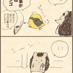 Photo by ちょっぴりおしゃべりで、ちょっぴり個性的などうぶつさんたち (@chopibutsu)