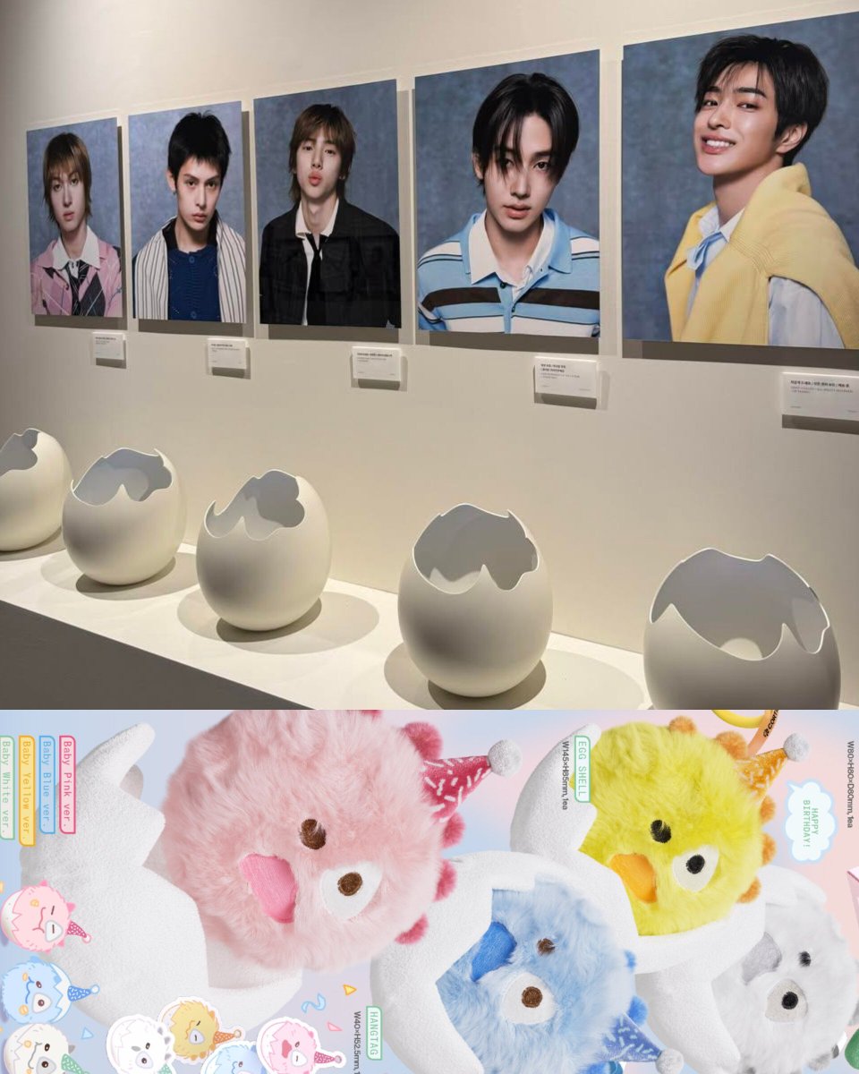 eomcoertis's tweet photo. The babies 😭🥚 https://t.co/A5lWg6BX3a