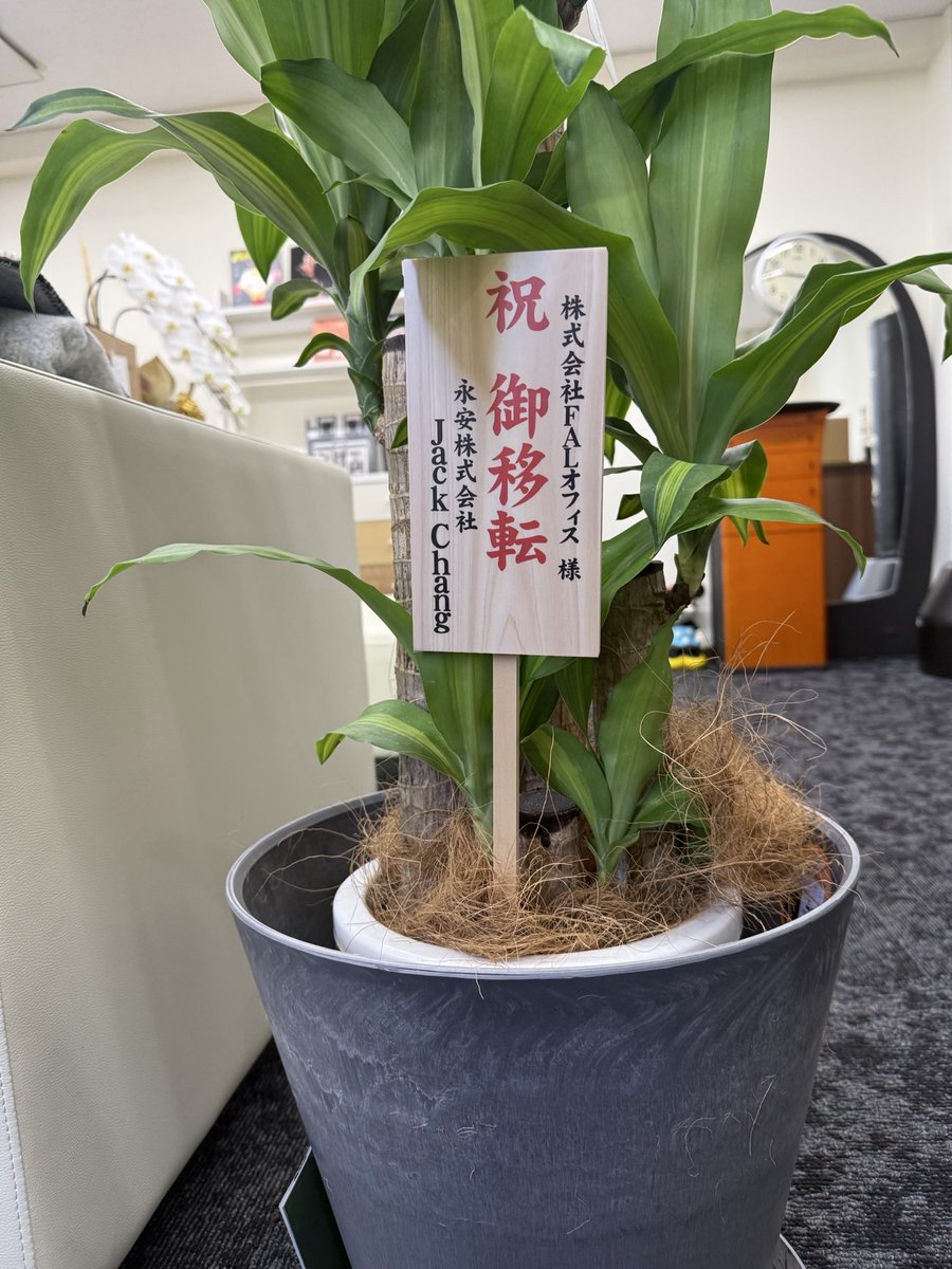 faloffice's tweet photo. 事務所引越しのお祝いをありがとうございます✨

事務所が華やかです😌

#FALオフィス https://t.co/4Thmp9tgZ8