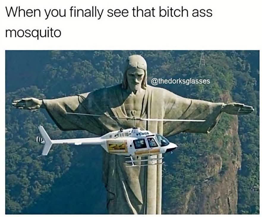 MsBooSZ's tweet photo. The mosquitos in Lubombo are on a different level https://t.co/MVwRWcVrf4