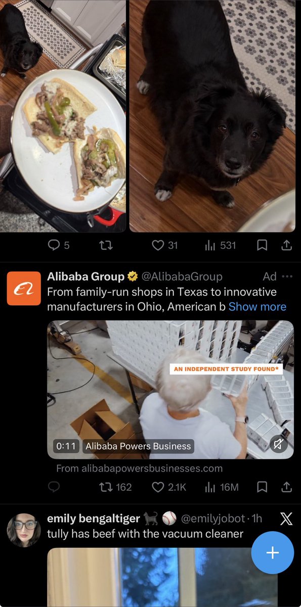 ChillSeattleFan's tweet photo. @emilyjobot Whole timeline just pets (feat. @marxiners) https://t.co/853cXoyYlu