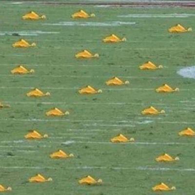 Topic Photo