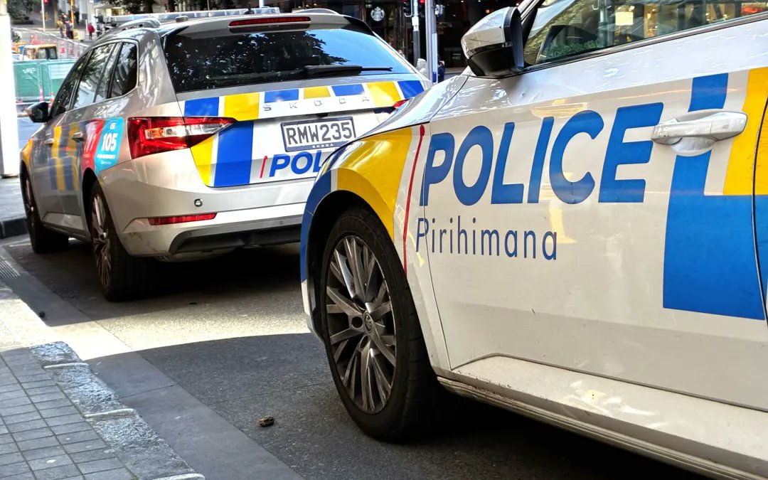 Video_Forensics's tweet photo. Emergency services at incident on residential street, tarpaulin covers car, residents being escorted in by @nzpolice, locals not allowed to drive out

https://t.co/ziQ9ffT1aA https://t.co/oy511xmFpi
