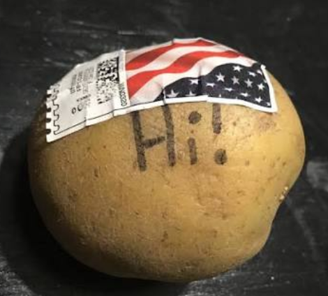 pencilforge's tweet photo. @sarabeezy4shee1 you can mail a potato like this https://t.co/7rPIrSMSB7