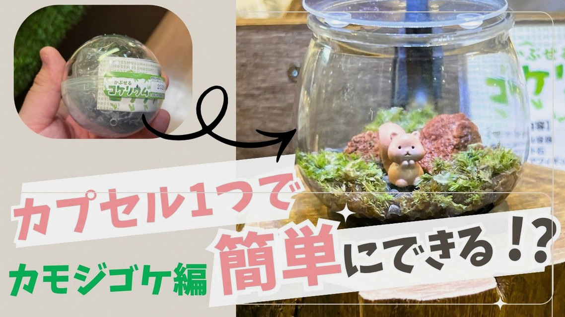 ___na05's tweet photo. 対話拒否されてポケモンできない https://t.co/k7NBq0hsLO