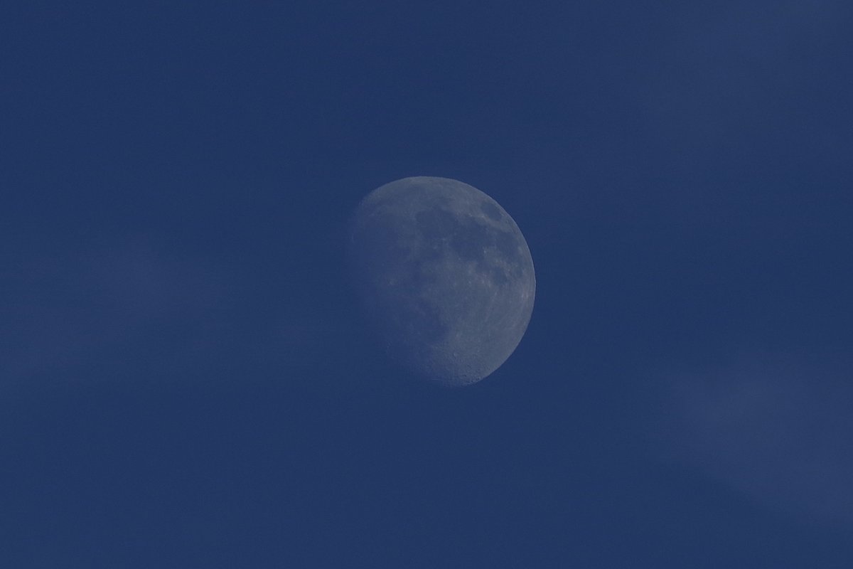 toshiyuki555's tweet photo. 青の刻
The Hour of Blue
Moon Phase 11.5-22:16:27
#Flickr > https://t.co/NmFvhS8Q3x

#PENTAX K-1 Mark II
#RICOH HD PENTAX-DA 1:4.5-6.3 55-300mm ED PLM WR RE

#PHOTO #DP261022
#月 #月の写真 #moon https://t.co/UJAGvzad5m