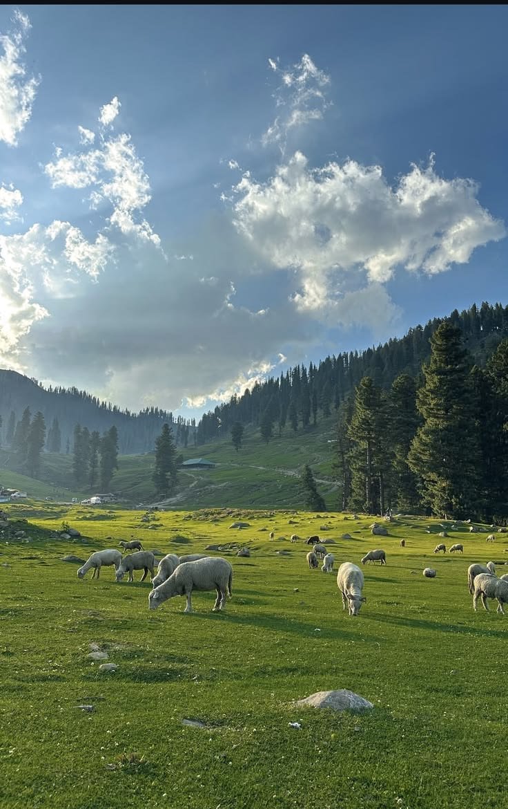 7am_reen's tweet photo. Not Europe, just Kashmir being naturally beautiful. https://t.co/B6q5kt7GSD