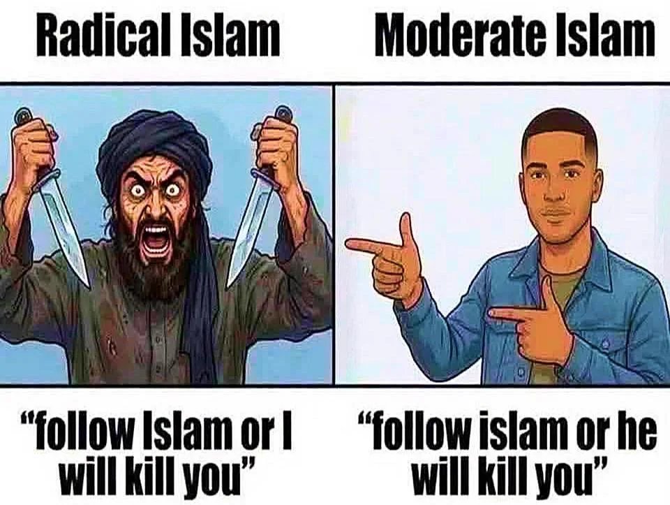 ImtiazMadmood's tweet photo. 90% Muslims are moderate Muslims. https://t.co/H7tktk2Bhn