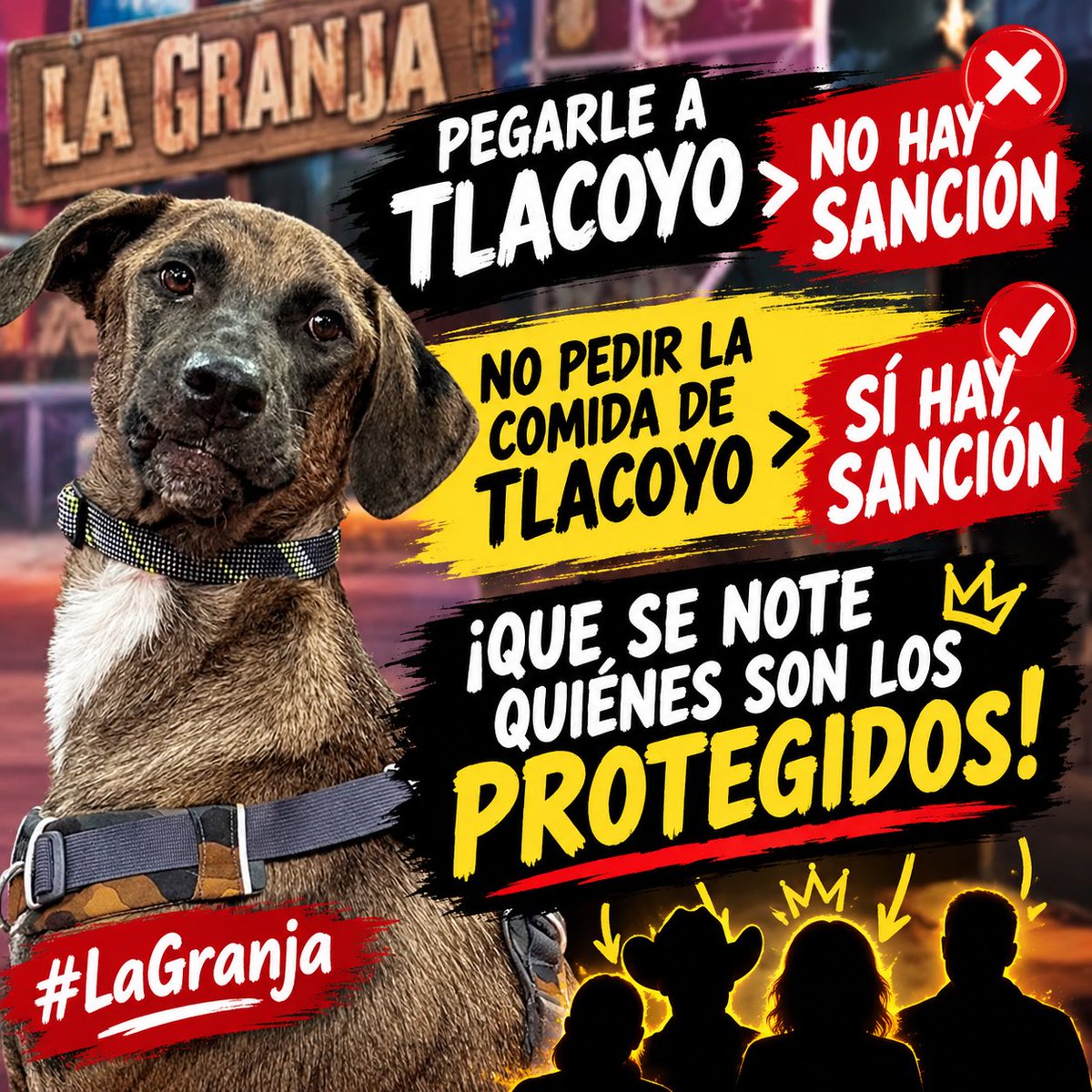 RealitysTeamMex's tweet photo. Los protegidos de producción 🔥

#LaGranjaSalvación 
#LaGranjaVlP 
#LaGranjaFraude https://t.co/taNDyZl0b6