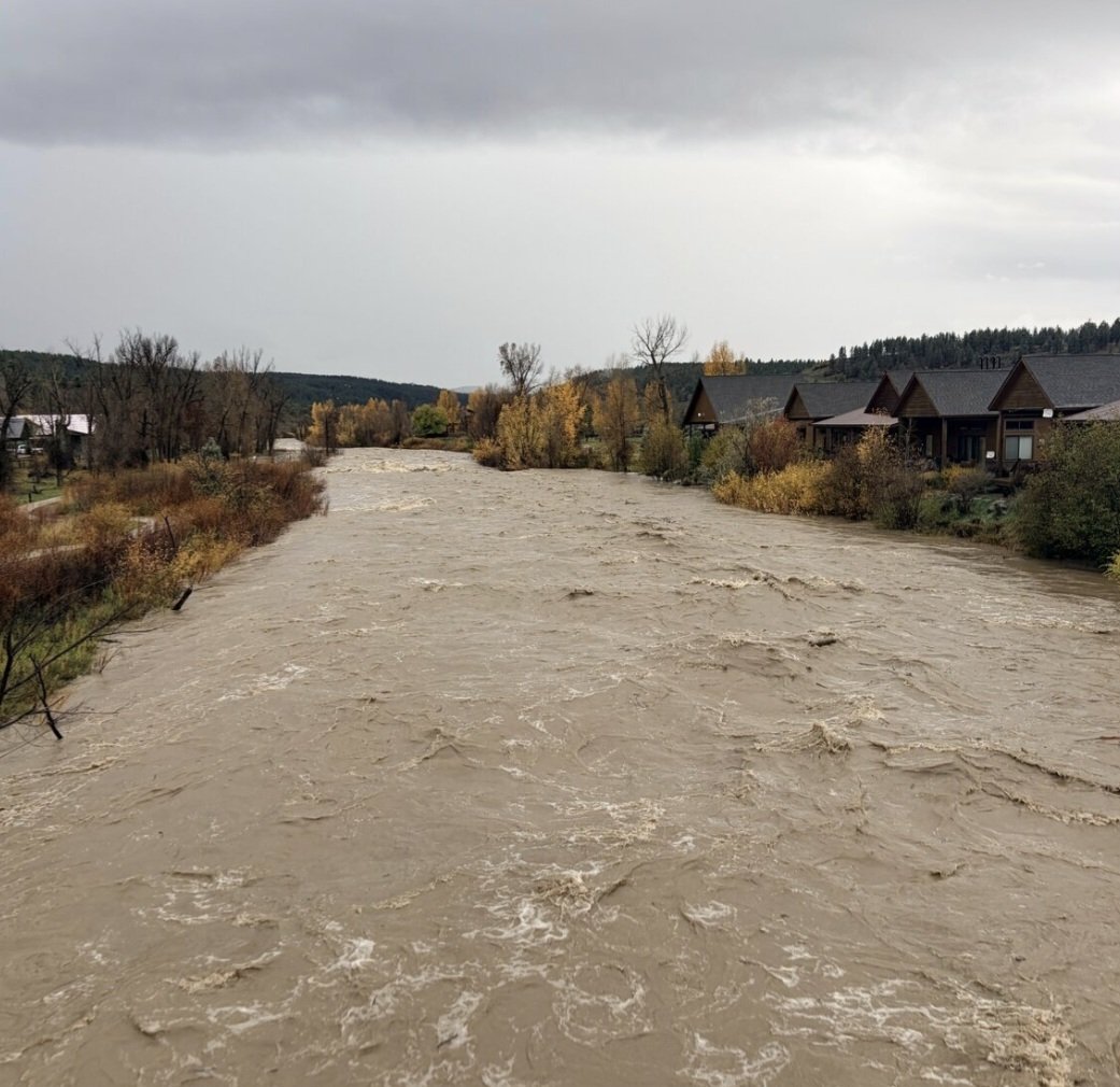 SmittysView's tweet photo. Over 3" of rain in 48 hours and it's still coming down.
Looks like I'll have to break out the waterwings.
Over 9½" in the last 6 weeks in an area that averages 21"/year. The El Nino is doing its job. https://t.co/DEVCRUmY8Y