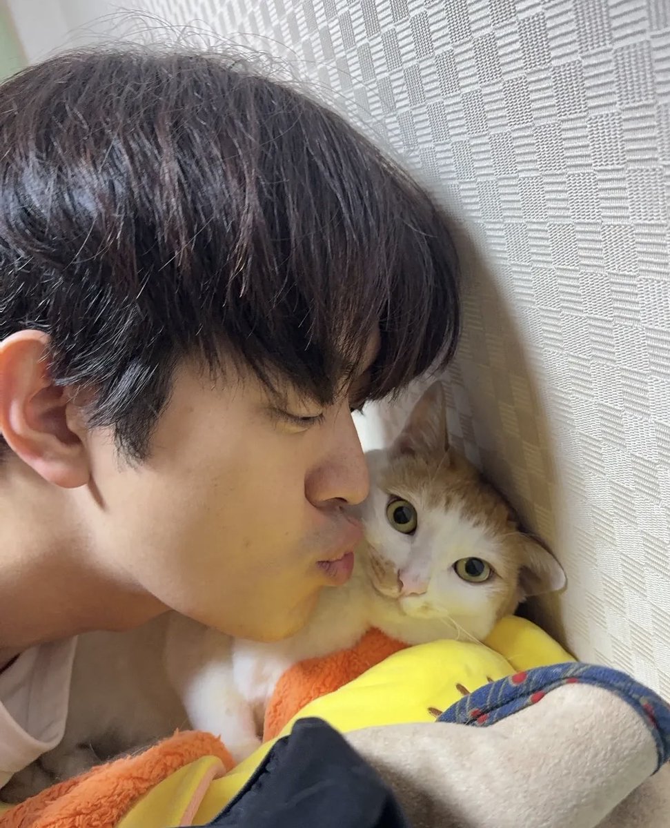 Cantavi_G's tweet photo. 웃겨서 숨질거가틈 https://t.co/nkpT7m2AFt