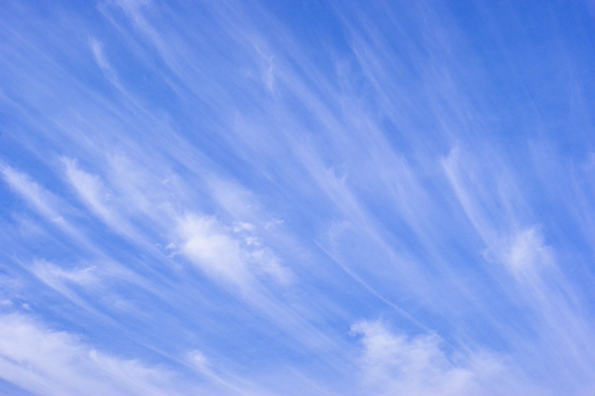 ohtsuka_hake's tweet photo. ☁️ 「刷毛雲（はけぐも）」って知ってましたか？
刷毛でサッと掃いたように、細長く筋状に広がる雲のこと。実は俳句の季語にもなっているんです！🎨
秋に見られやすい雲だそうなので、空を見上げて探してみてください🔍

刷毛を販売している会社にいながら、初めて知りました…！（🐮）

#外壁塗装 #屋根塗装 #リフォーム #塗装シーズン #秋晴れ