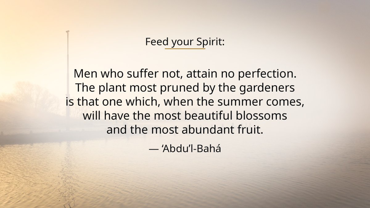hrnftw's tweet photo. "Men who suffer not, attain no perfection. The plant most pruned by the gardeners is that one which, when the summer comes, will have the most beautiful blossoms and the most abundant fruit." — ‘Abdu’l-Bahá
#FeedYourSpirit #BahaiFaith https://t.co/HXsb5Rv1qY
