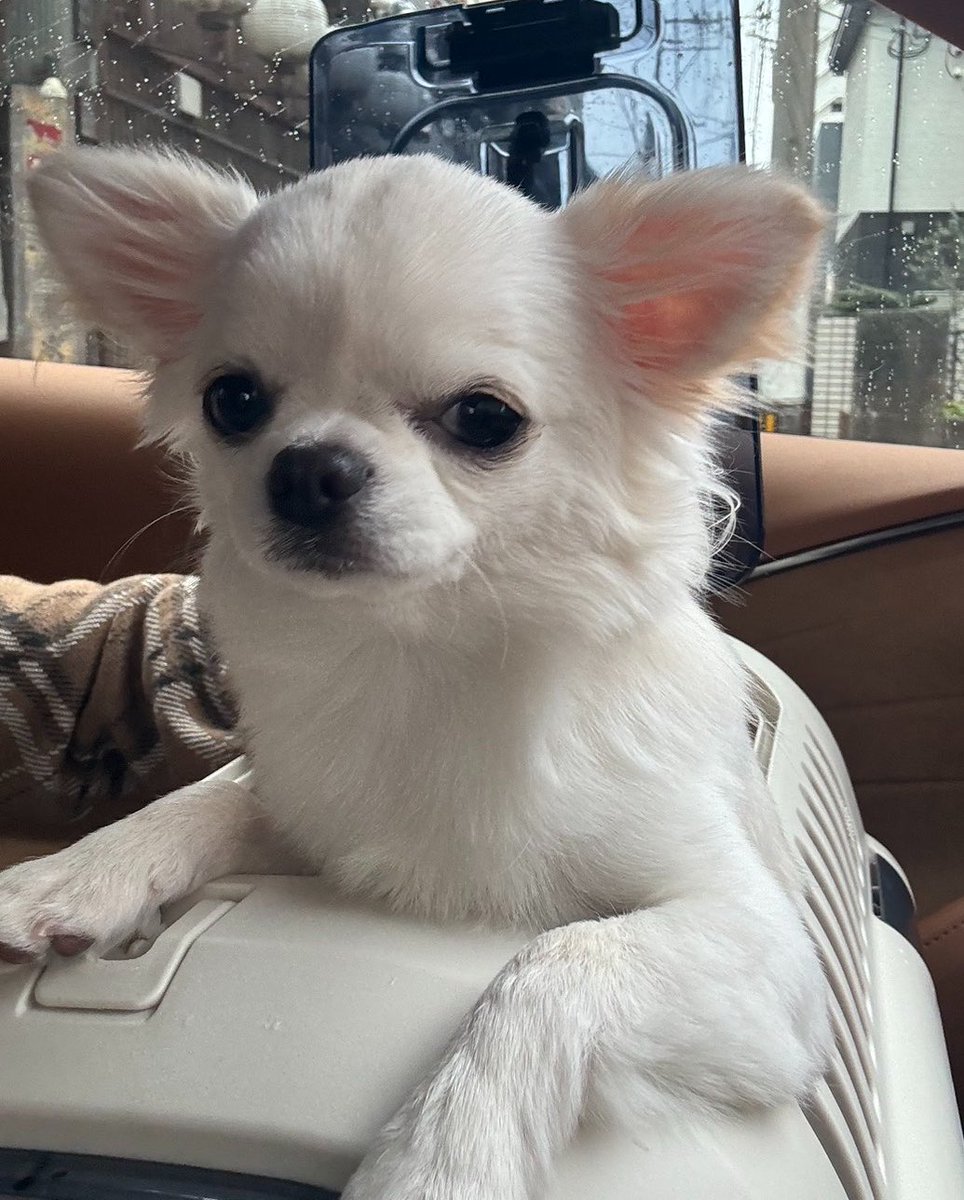 prettys2natalie's tweet photo. 遅めのようちえん🧑‍🩰 https://t.co/8prBDP8UbF