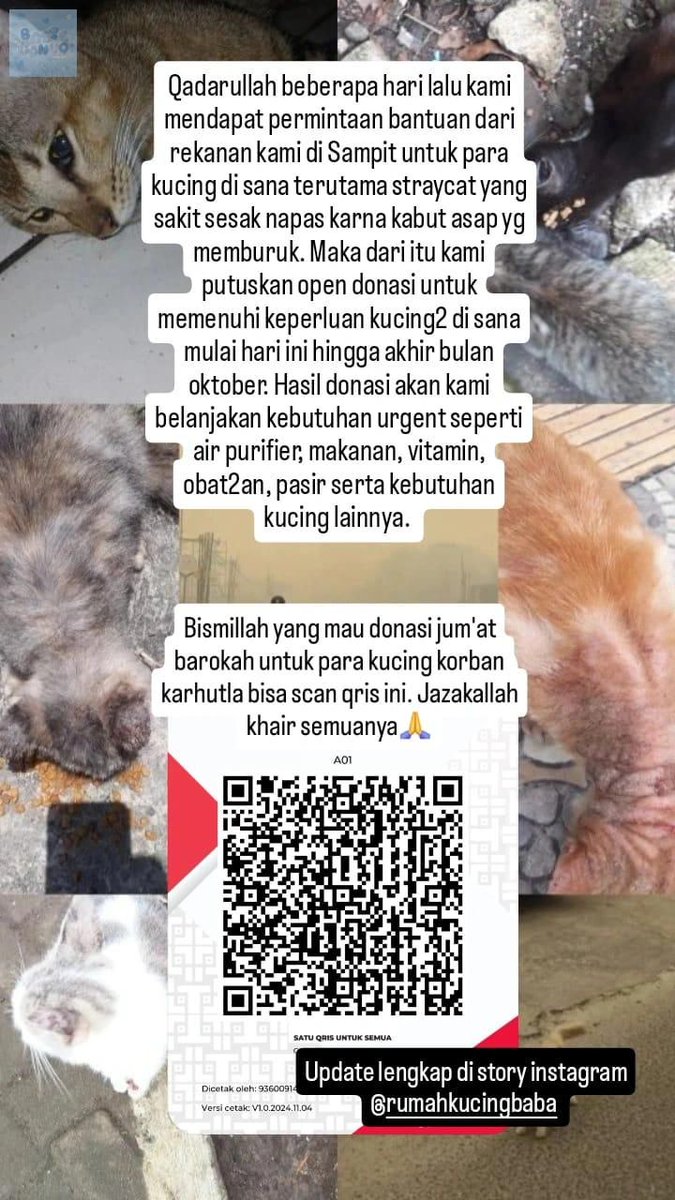 baseconvo's tweet photo. 💙 Ini ke baseconvo : help all yg mau berdonasi jumat berkah utk anabul2 di Kalimantan skrg kondisi udara memburuk krn kabut asap, banyak kucing sakit sesak napas. Mohon doa onti ongkel supaya situasi membaik dan aman. Jazakallah❤️ https://t.co/kEx8JBty1J