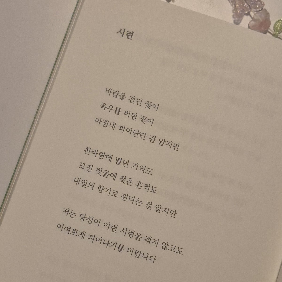 ruby_pleasure_'s tweet photo. 그러나 나의 사랑은 당신을 어여쁘고 향기 없는 꽃으로 가꾸는 방식이 아니라, 당신의 여정을 기꺼이 함께하며 흙이 마를 때 나의 물을 내어주는 것. 
마침내 고유한 아름다움으로 피어날 고통과 분투를 외면하지 않고 묵묵히 참전하는 것. https://t.co/O3v5HgEztJ
