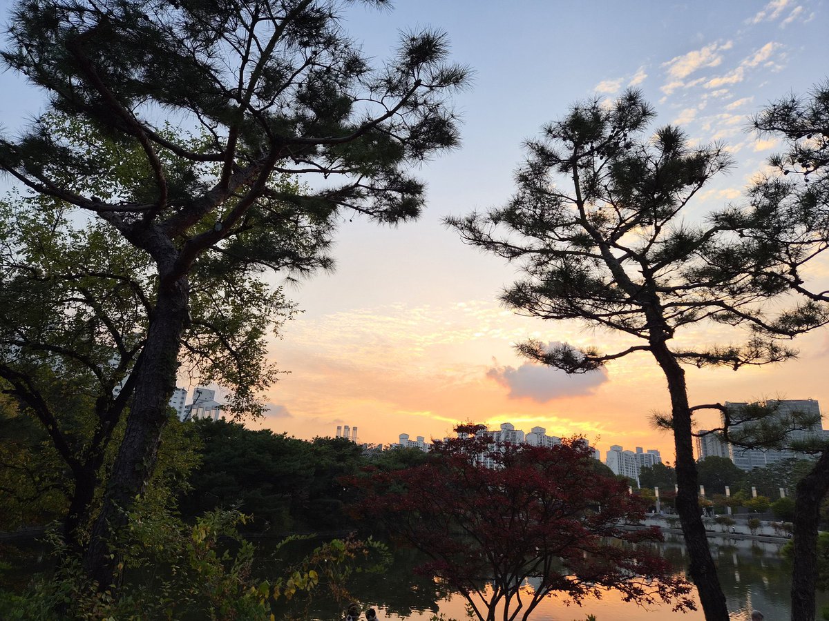 Carmeniia's tweet photo. Sunset o clock https://t.co/7ien25PKXI